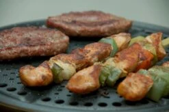 Cobb Premier+ Gas Gasbarbecue - Grijs -Buiten Kamperen Winkel 1263 1900 dsc 0474