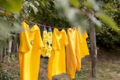 Easy Camp Edendale 600 Tunneltent 6 Persoons - Grijs 33 Easy Camp Edendale 600 Tunneltent 6 Persoons - Grijs -Buiten Kamperen Winkel 1267 1900 waslijn 1 1