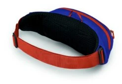 Osprey Daylite Heuptas - Blauw/Oranje 11 Osprey Daylite Heuptas - Blauw/Oranje -Buiten Kamperen Winkel 1900 1425 daylitewaist s23 sideback silverliningblueberry 10005144