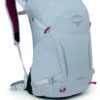 Osprey Hikelite Wandelrugzak - 26 Liter - Zilver 1 Osprey Hikelite Wandelrugzak - 26 Liter - Zilver -Buiten Kamperen Winkel 1900 1425 hikelite26 s23 side silverlining 10004802