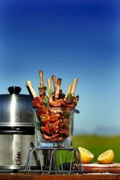 Cobb Premier+ Gas Gasbarbecue - Grijs -Buiten Kamperen Winkel cobb premier 3 1